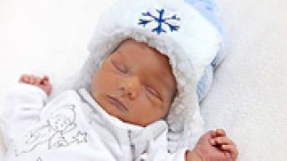 Zimske bebe Zimske bebe