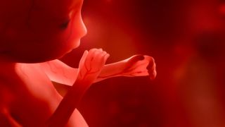 Veličina bebe kroz tjedne trudnoće Veličina bebe kroz tjedne trudnoće